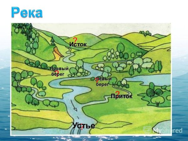 Река Брянта Амурской области