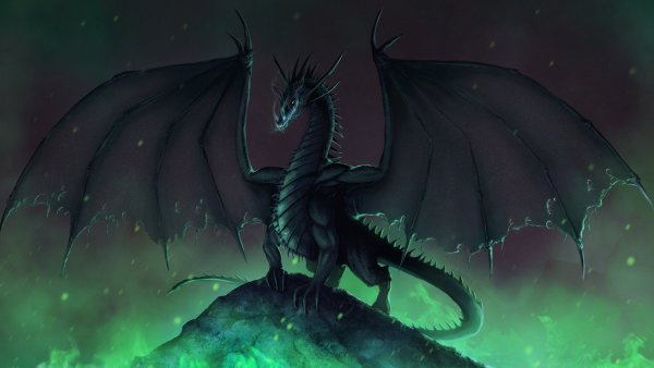 Черный дракон картинки (49 фото)