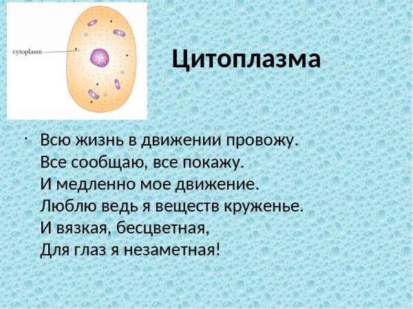 Цитоплазма функции 5 класс биология