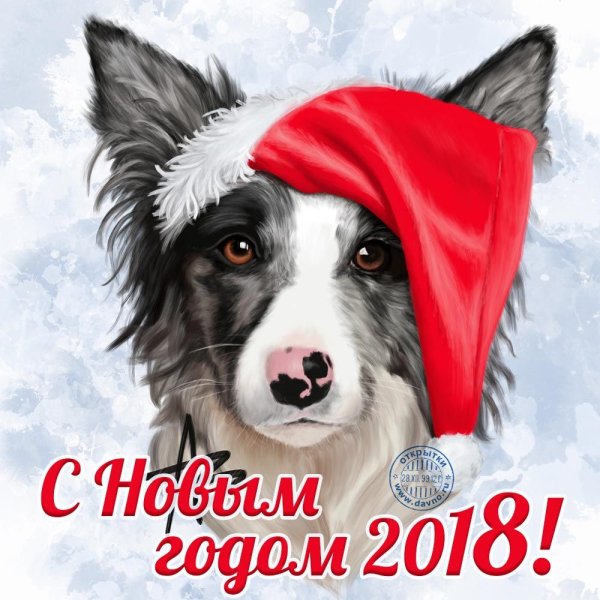 Открытка на новый год с собакой