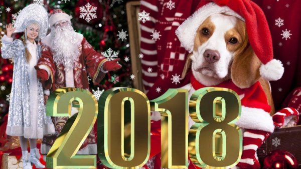 С новым годом 2018