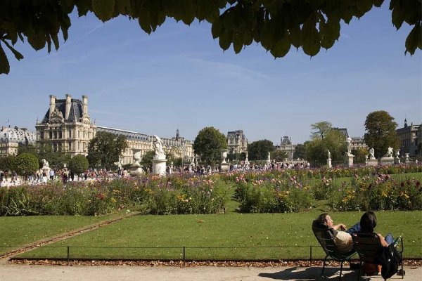 Роза Жардэн де Тюильри (Jardin des Tuileries)