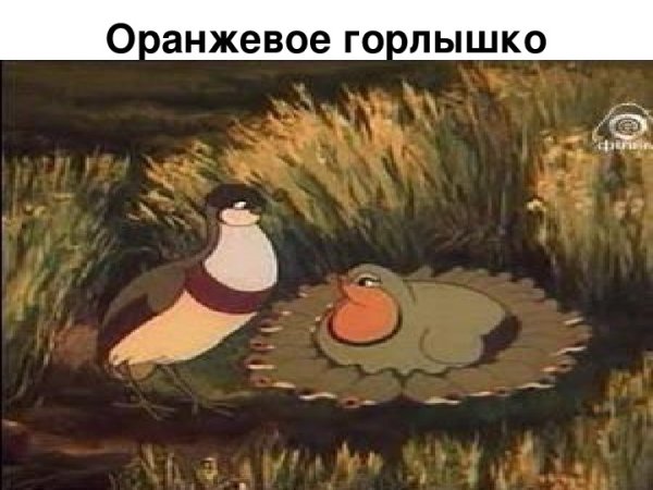 Бианки в. "оранжевое горлышко"