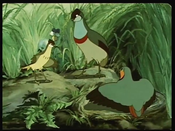 Иллюстрация к рассказу оранжевое горлышко Бианки