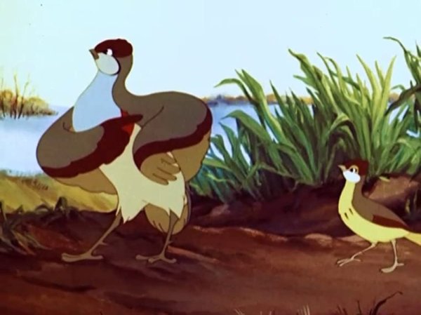 М/Ф оранжевое горлышко 1954