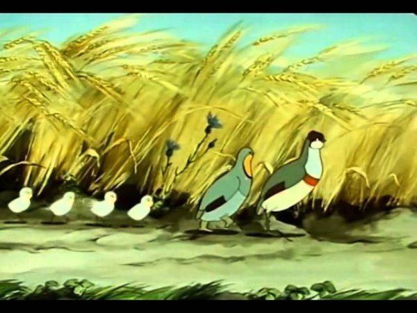 Оранжевое горлышко 1954