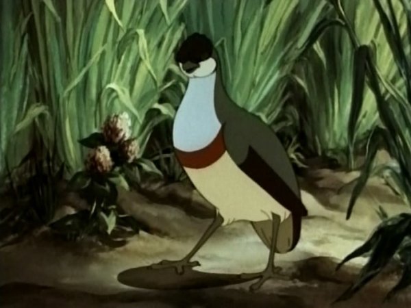 Бианки в. "оранжевое горлышко"