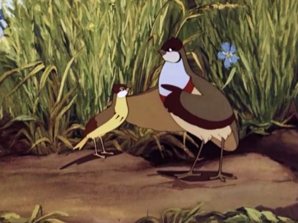 Оранжевое горлышко Подковкин