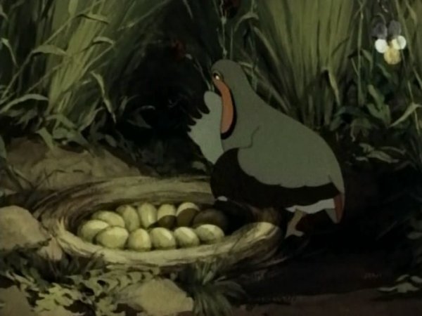 Оранжевое горлышко мультфильм