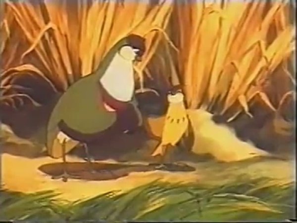 Бианки оранжевое горлышко иллюстрации