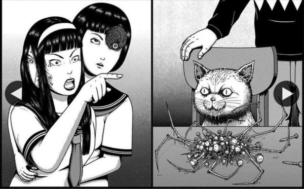Дзюндзи Ито кошка