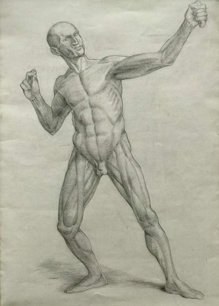 Экорше лучник гипс