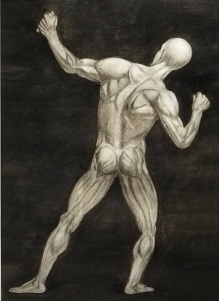 Экорше лучник Гудона