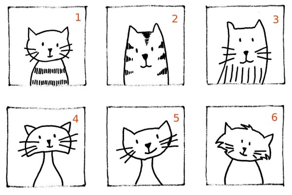 Схематичный рисунок кота