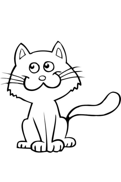 Котик схематично