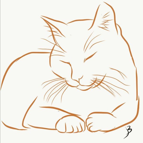 Схематичный рисунок кота