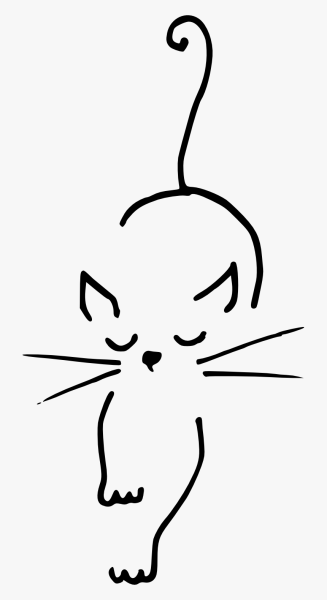 Кошка схематично