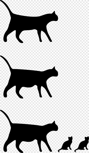 Очертания кошки