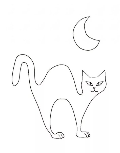 Контур кошки