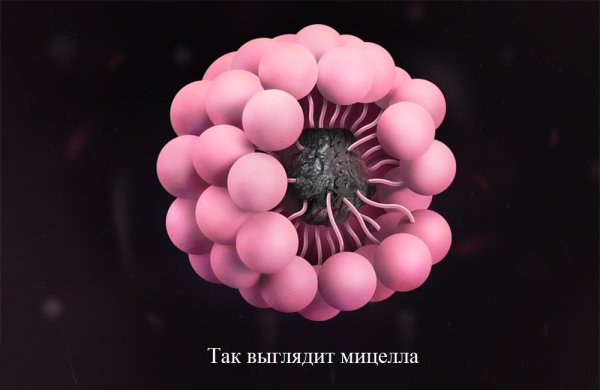 Мицеллы под микроскопом