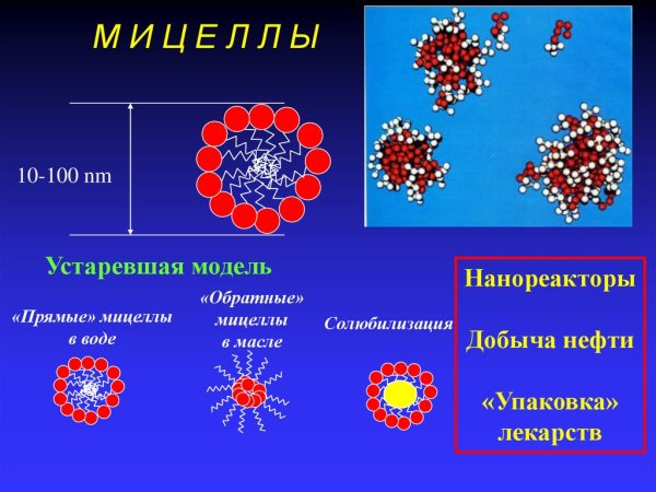 Полимерные мицеллы