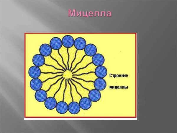 Полимерные мицеллы