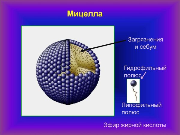 Мицелла это в химии
