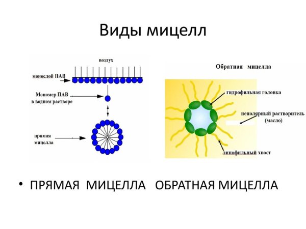 Механизм действия мицелл пав