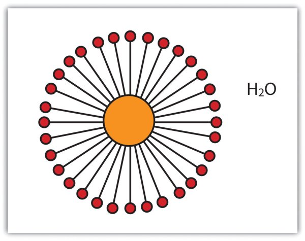 Строение мицелл пав