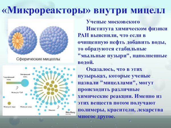 Схема структуры мицеллы биохимия