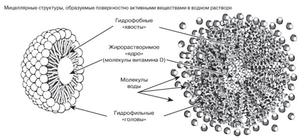Молекула мицеллы