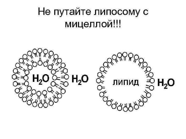 Мицеллы в мицеллярной воде
