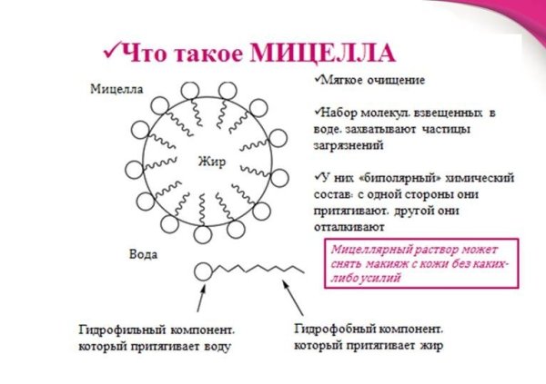 Структура мицеллы пав