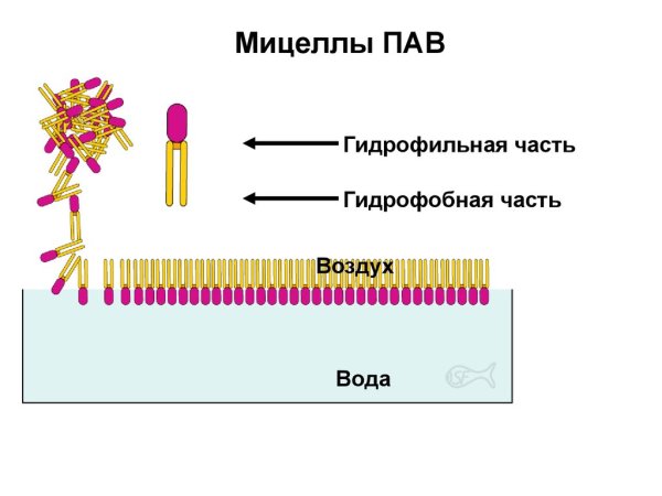 Схема строения коллоидной мицеллы