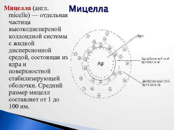 Мицеллы и везикулы