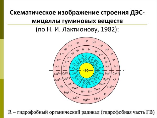 Структура мицеллы схема