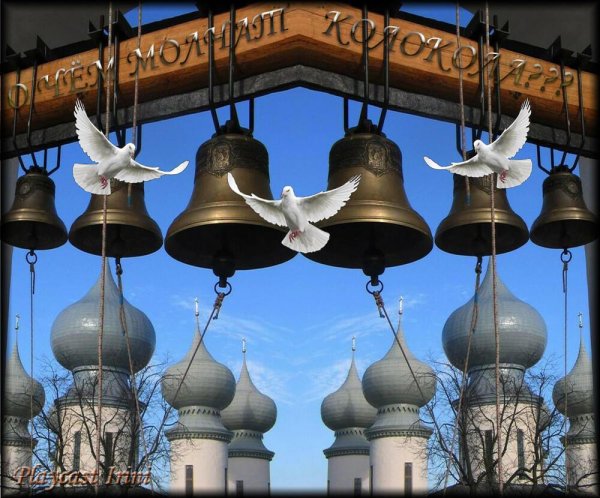 Рыбинск Спасо Преображенский собор колокольный звон
