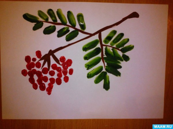 Веточка рябины ватными палочками