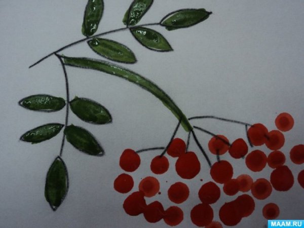 Рисование рябины в подготовительной группе