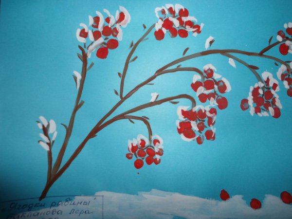 Рисование в старшей группе ветка рябины зимой