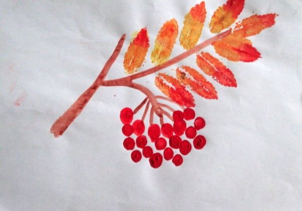 Кисть Рябинки гроздь Калинки рисование