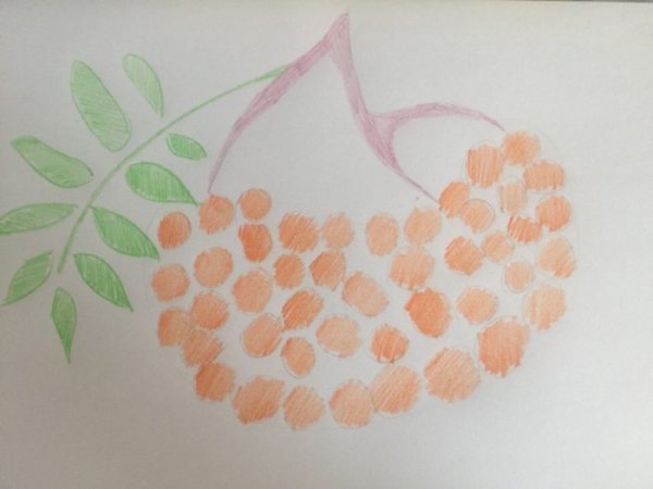 Ветка рябины рисование в старшей группе ватными палочками