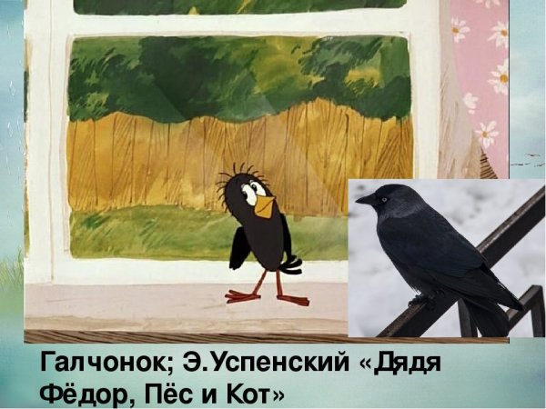 Галка из Простоквашино