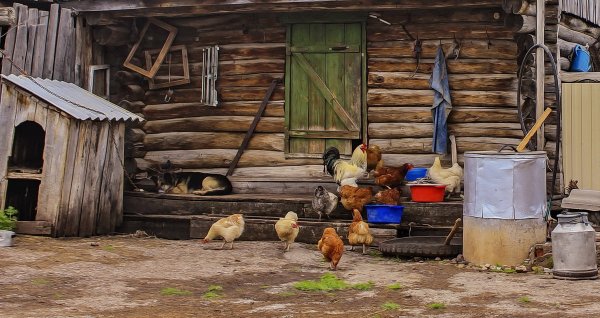 Деревенское подворье