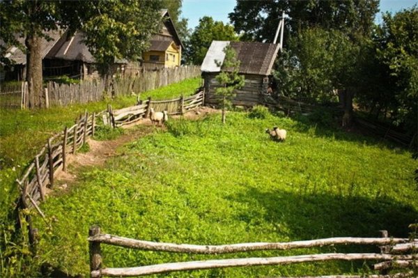 Дворик в деревне
