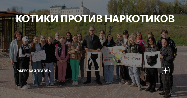 Профилактика наркомании ЗОЖ