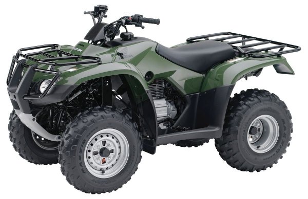 Honda TRX 250