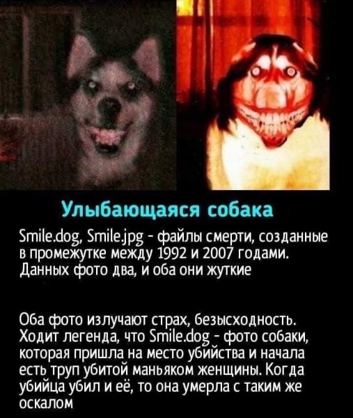 Крипипаста персонажи Смайл дог
