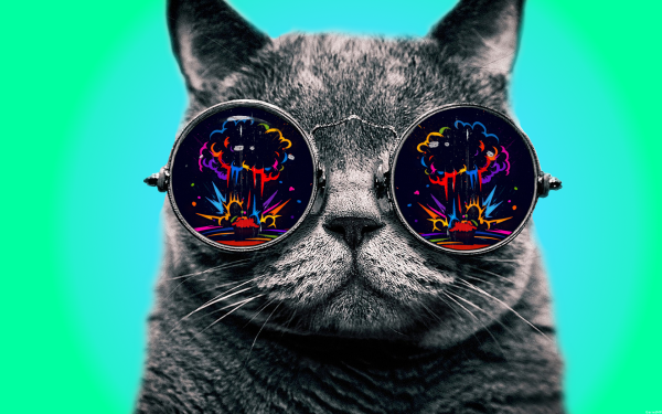 Кот в очках