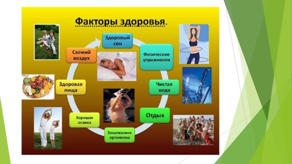 Что такое здоровый образ жизни формулировка